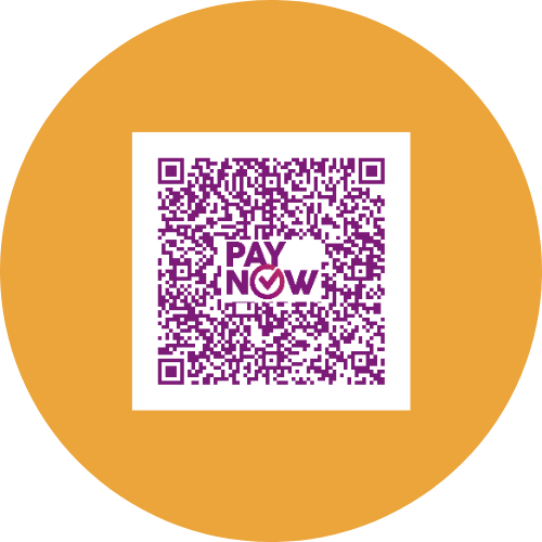 paynow icon